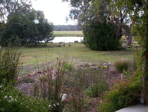 Wind Song Bed&Breakfast Little Swanport Exterior foto